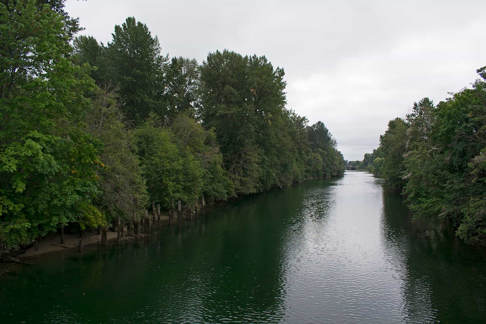Courtenay River seen from the bridge