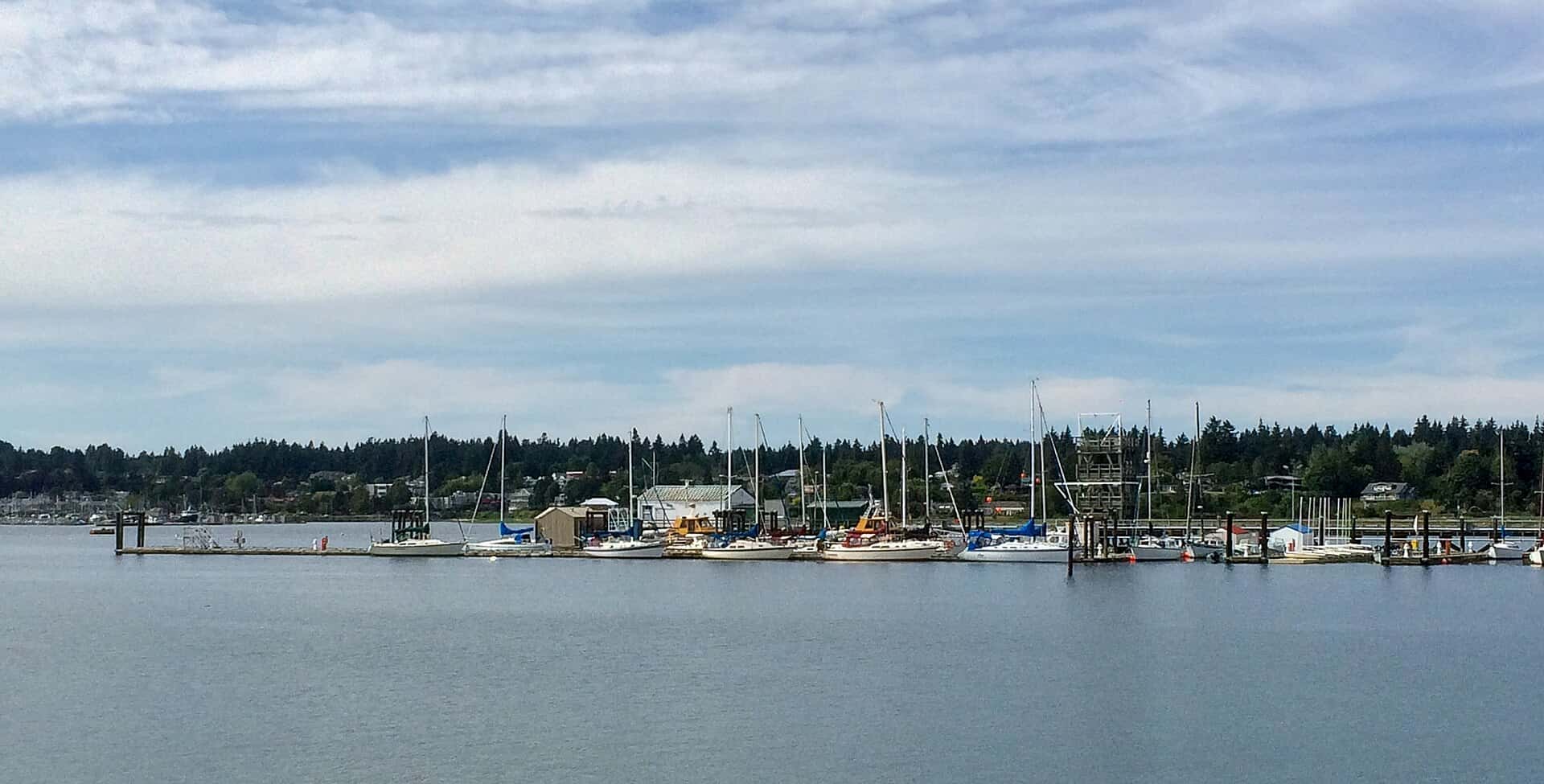 Boats docked at the Comox marina