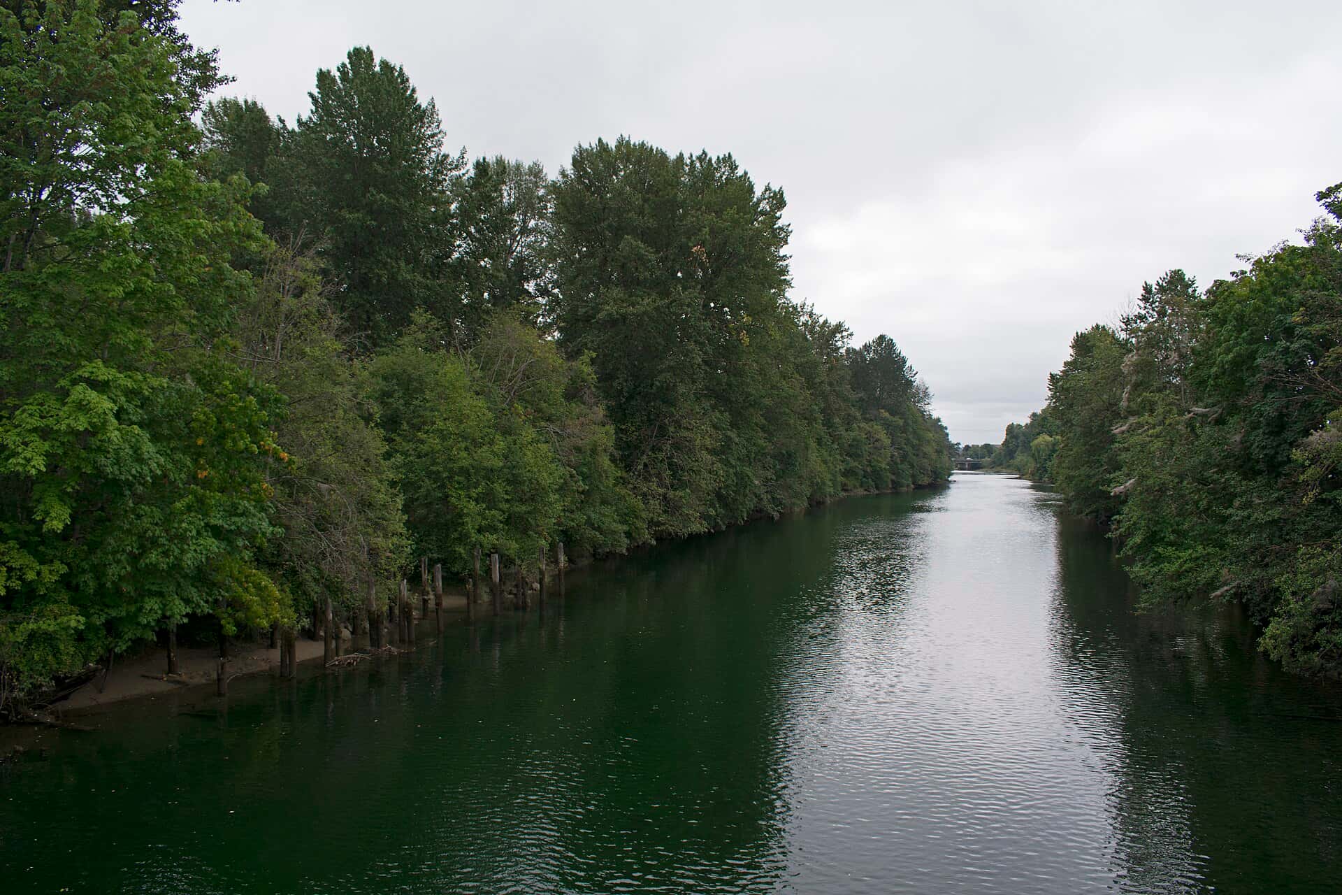 Courtenay River seen from the bridge